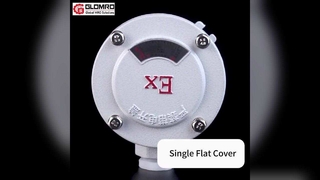 GLO-AH Puszka przyłączeniowa przeciwwybuchowa