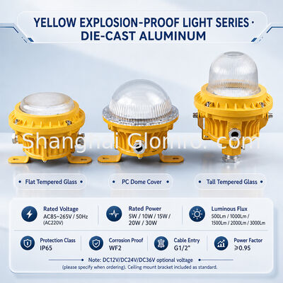 10W LED Explosion Proof Fixture IP65 WF2 Long Lifespan Industrial Hazardous Area Lighting for Refinery